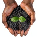 Agronomy Kindle eBook Midscape Publications-0