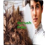Irrigation Guide Rare Treasure Editions eBook PDF-0