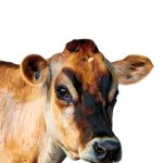 Agronomy Kindle eBook Amazon 123 Pages Enhanced-0