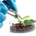 Crop Protection Guide BioComm Press eBook-0