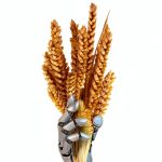 Agronomy Kindle Book Lioncrest Publishing eBook-0